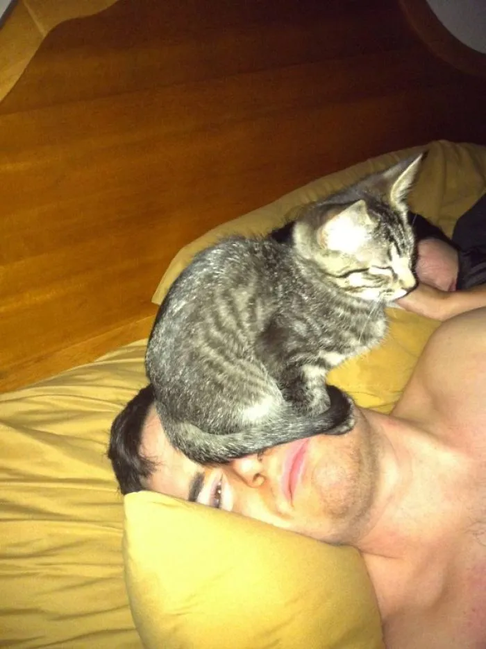 Yes, This Is The Perfect Place For Me To Sit