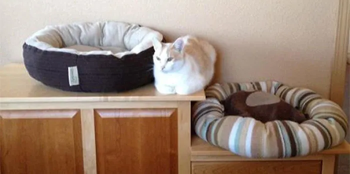 Finally Found A Comfy Spot
