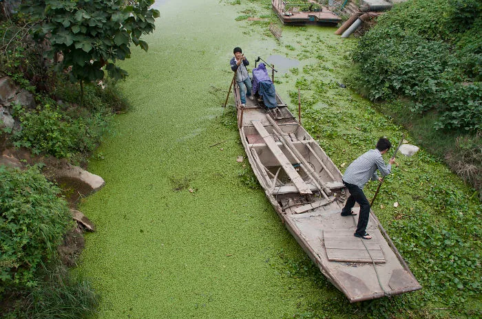 Heavily Polluted River