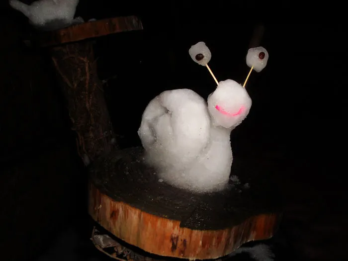 Crazy Snail