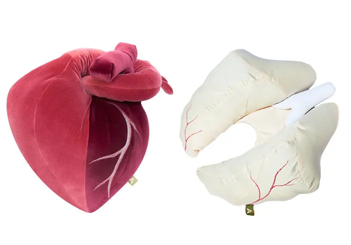 Organ Pillows