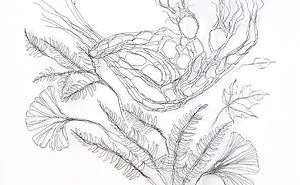 139 Of The Most Beautifully Twisted Wire Sculptures