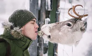 Finnish Squirrel-Whisperer Feeds Wild Animals For Cute Wildlife Photos
