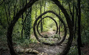 Artist Spent One Year In The Woods Creating Surreal Sculptures From Organic Materials