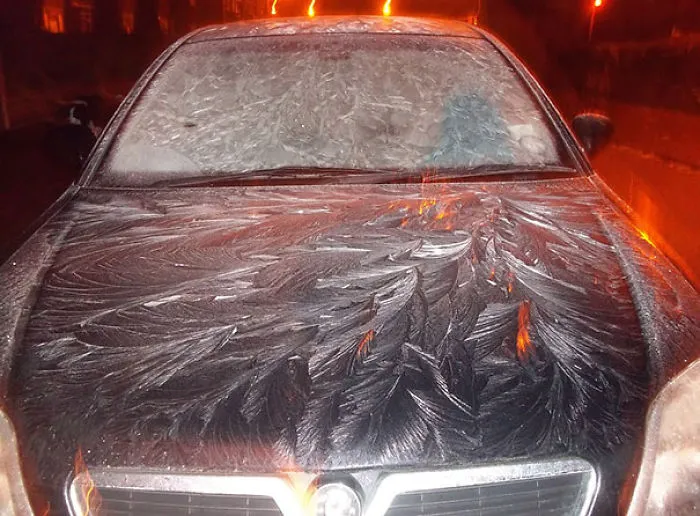 Frosty