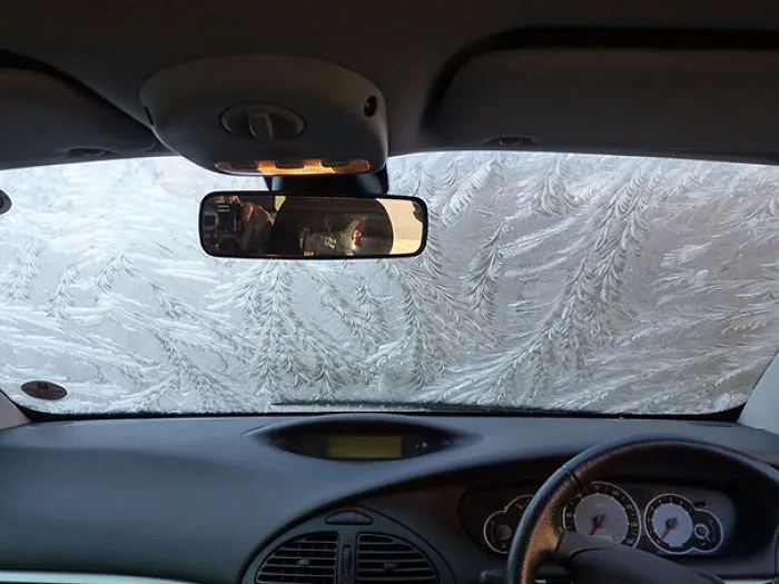 Windscreen