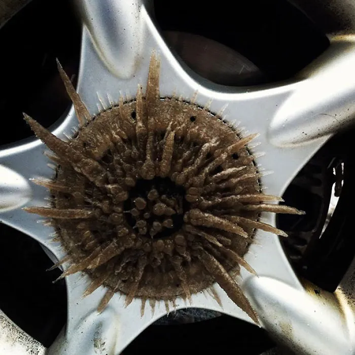 Ice On My Wheel