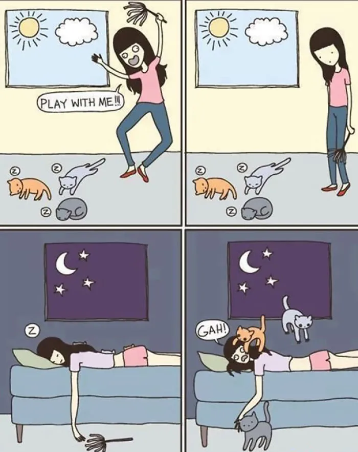 Kitties Play When They Want