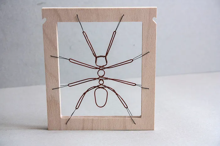 Copper Ant