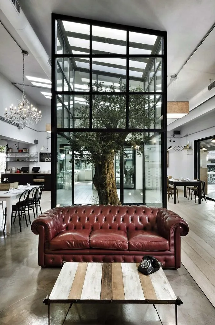 Tree Inside A Restaurant