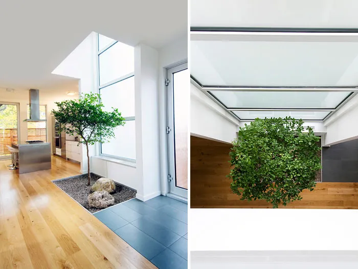 Indoor Garden