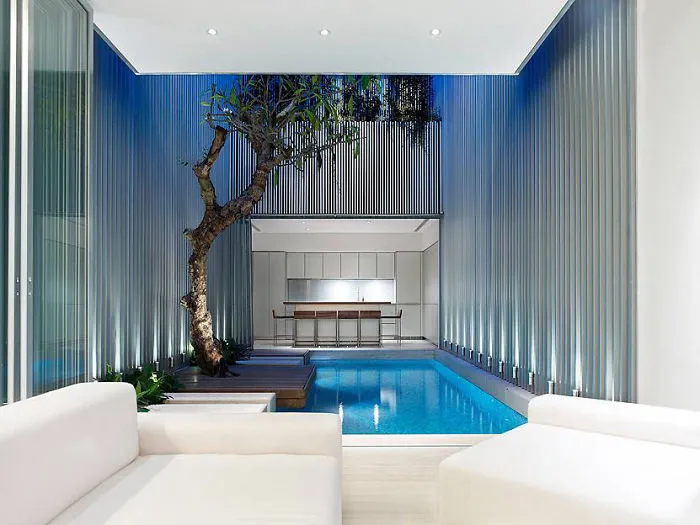 Tree Inside A House