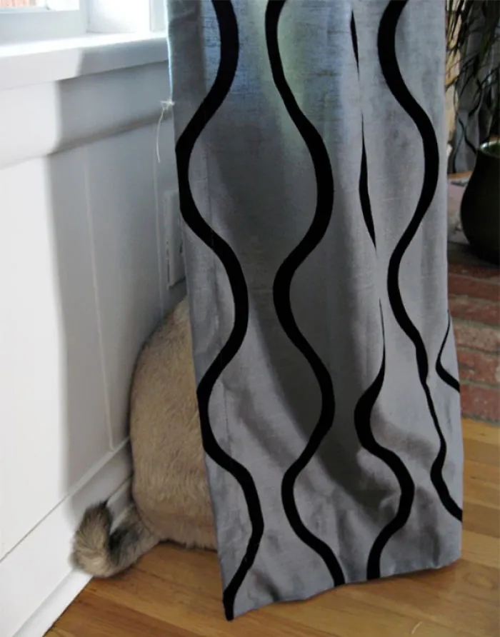 159 Dogs Who Suck At Hide-And-Seek