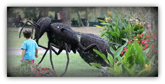 Iron Wire Bee: David Vanorbeek, 250 Cm, °2008