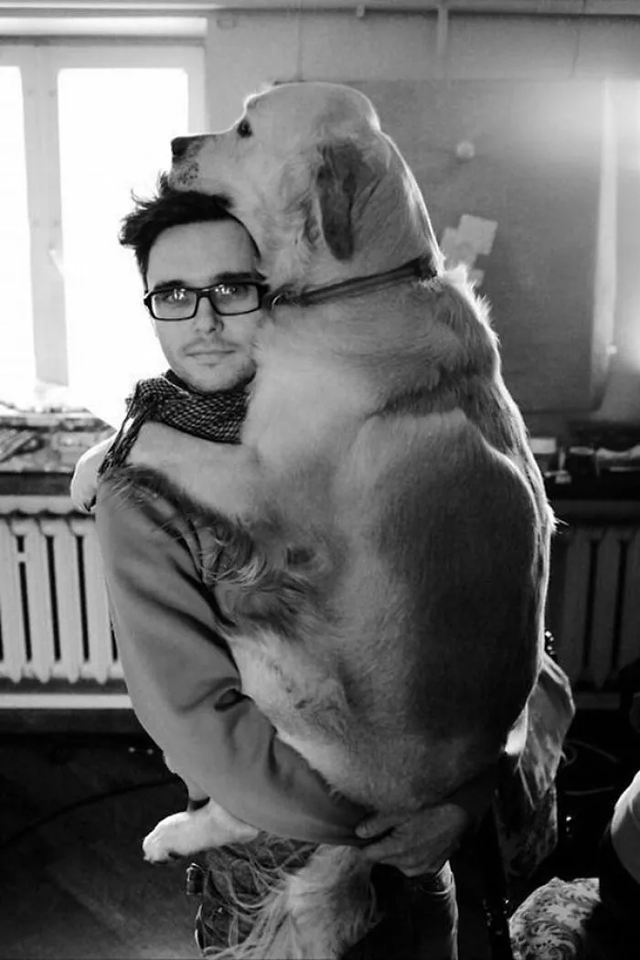 50 Dogs Who Don't Understand How BIG They Are