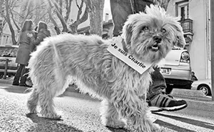 We Are Charlie: 3.7 Million People In France Manifest For Freedom Of Speech