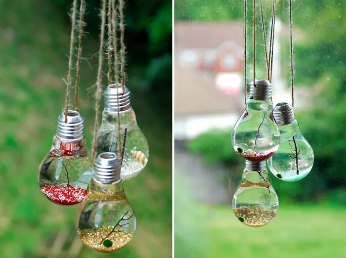 Terrariums