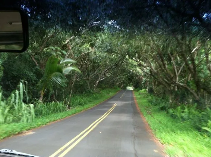 Red Dirt Road Big Island, Hawaii