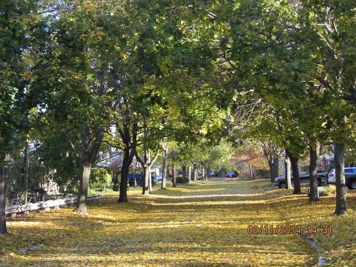 Old Pye Court