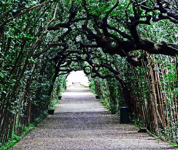 Boboli Gardens Florence