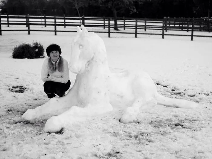 Horsing Around