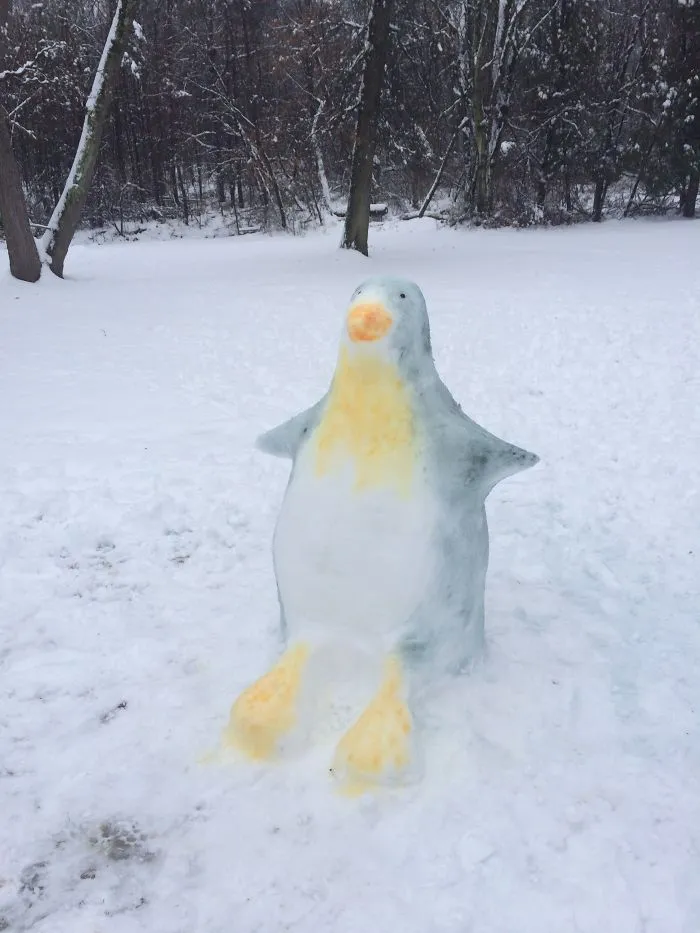 Penguin In Pa