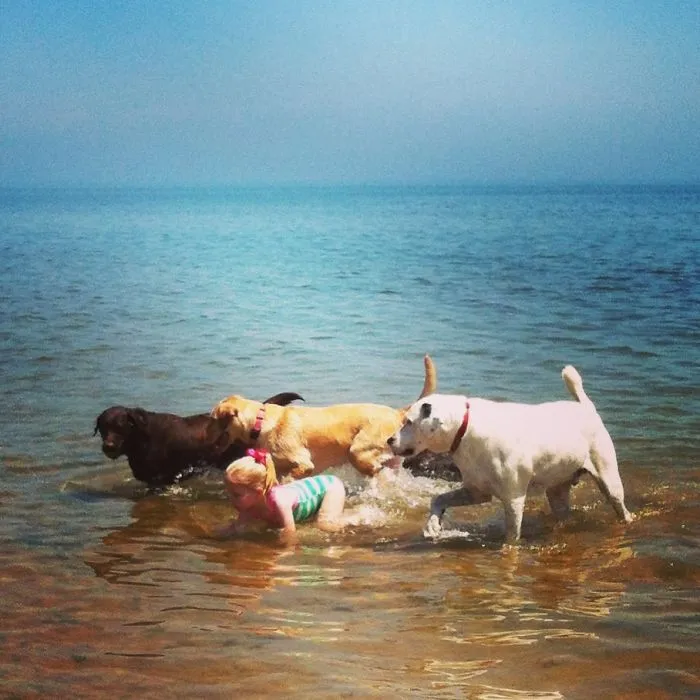 Like A Dog To Water.