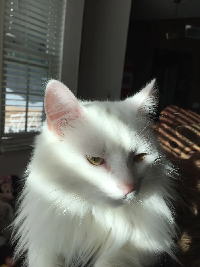 Basking In The Sun.