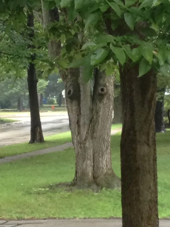 I'm Watching You!