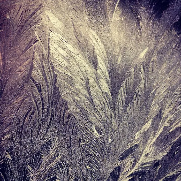 Beautiful Windscreen Feather-ice