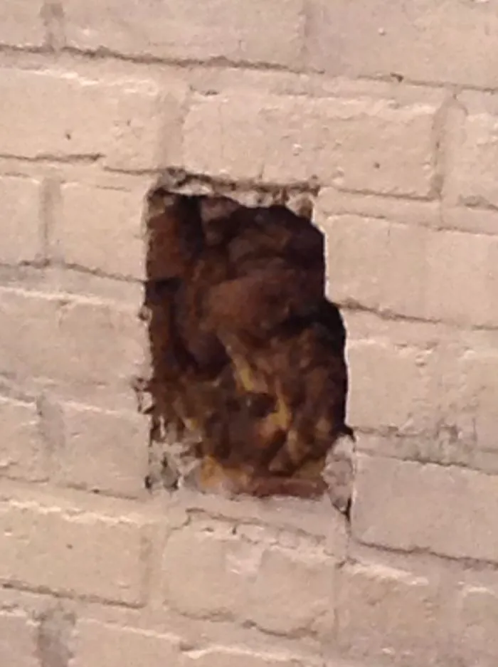 Stuck In The Chimney...