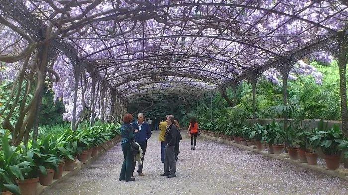 Cenador De Los Jardines De La Concepción (málaga)