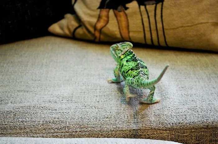 I Can See You Following Me!