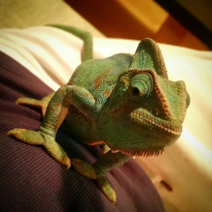 What'you Doing There?