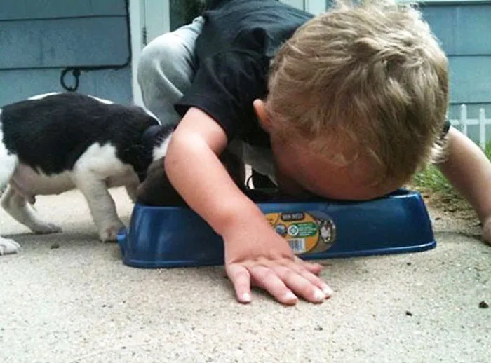 Puppy And Kid