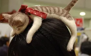 Cat Hairband Lets You Wear An Entire Kitten On Your Head