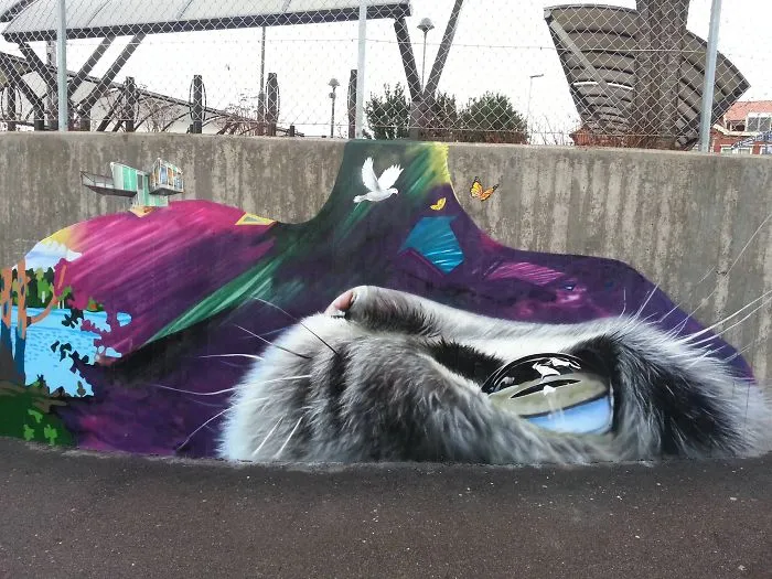 World Of The Cat
