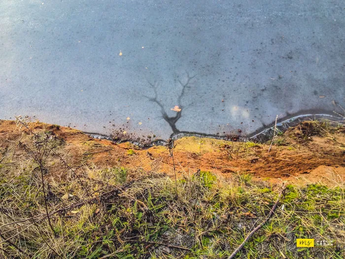 Mother Nature Paintings