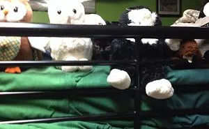 32 Ninja Cats That Have Mastered The Ancient Art Of Ninjutsu
