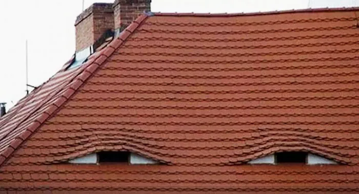 "I'm Watching You!"