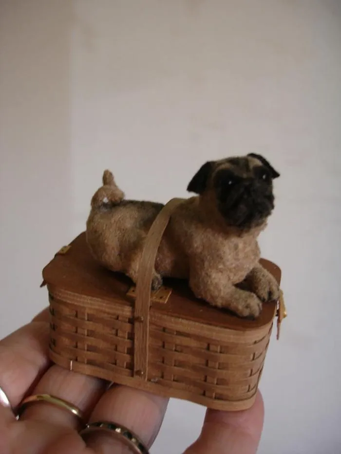 Pug