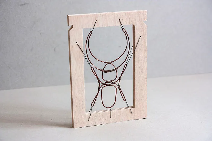 Copper Stag Beetle