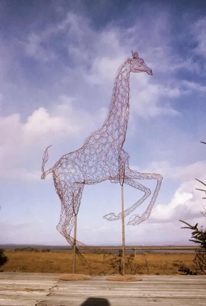 14ft Red Giraffe