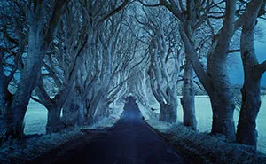 Photographer Captures Dark And Lonely Roads Around The World