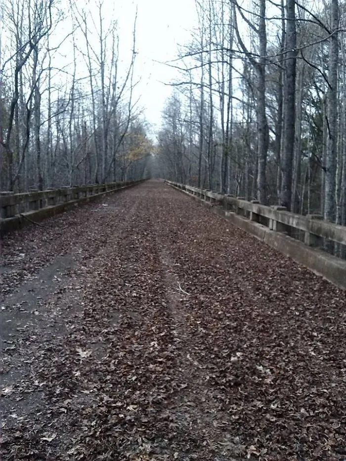 Abandoned Road To Old Timey Turnstyle Bridge...state Line Of Georgia And South Carolina, Usa