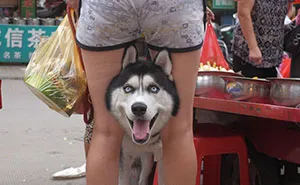 Self-Taught Chinese Street Photographer Takes China By Storm With His Perfectly Timed Photos