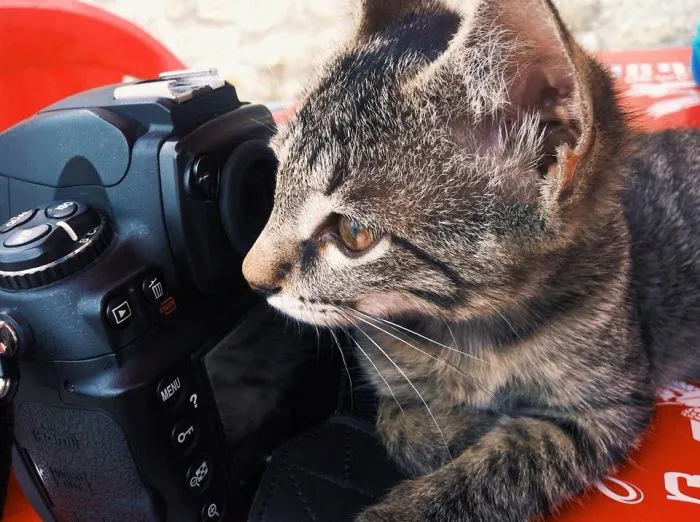 Now I'm Shooting