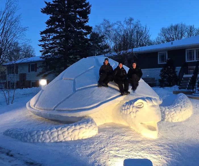 Giant Turtle