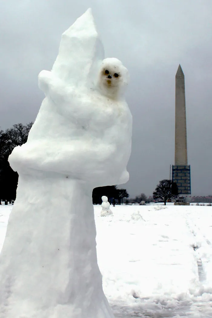 Sloth On The Washington Monument