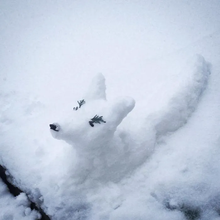 Arctic Snowfox
